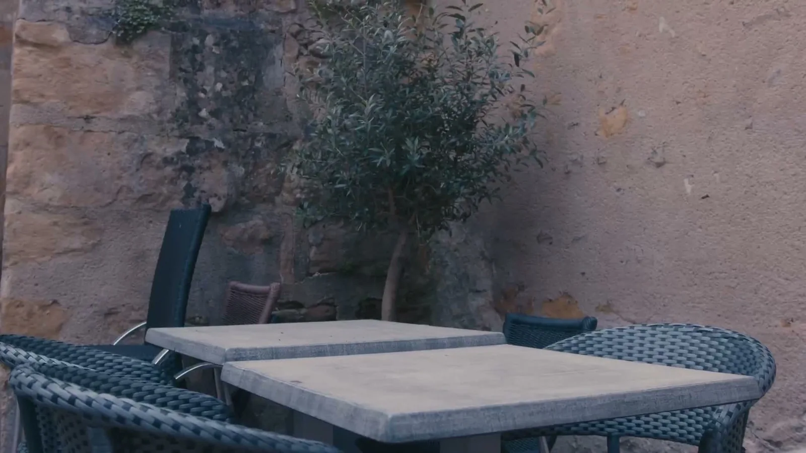 La terrasse du Carnot, entre pierres et verdure